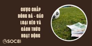 Cược Chấp Bóng Đá